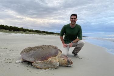 A man kneeling on a beach next to a large loggerhead sea turtle.
