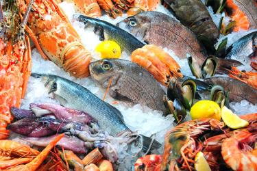 1280x800-seafood-on-ice-shutterstock-90334042.jpg