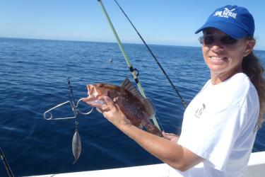 2371x1581 roklees FDD GoM NOAA Sea Grant.jpg