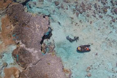 3936x2624-Midway-reef-nets-StevenGnam.jpg