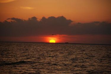 750x500-hms-sunset-sf.jpg