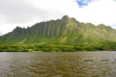 750x500-oyster-baskets-pond-kaneohe-hi-NOAA-PIRO.jpg