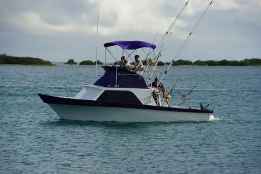 800X533-HIFishingTournament.jpg
