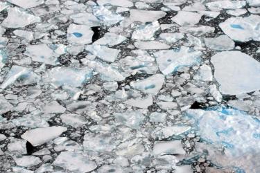 Aerial_Surveys_of_Arctic_Marine_Mammals-2018 (3).jpg