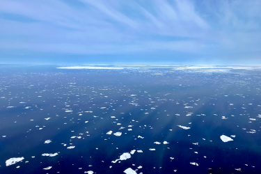AFSC_ASAMM-Blog-image001.png