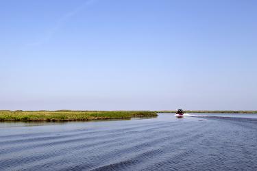 airboat_cwppra_750x500.jpg