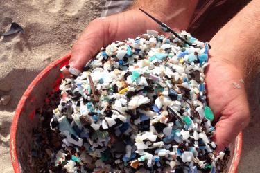 Hands lift a pile of microplastics out of a bucket
