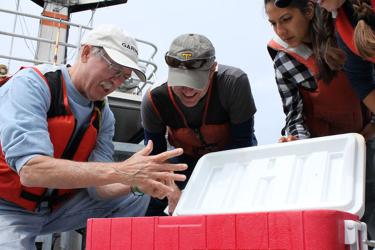 Bill Peterson and colleagues inspect tiny marine organisms collected during the Newport Hydrographic Line survey. Credit: NOAA.