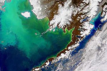 Satellite view of Alaska with green algae blooms in the ocean 