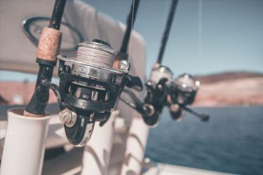 Fishing-Rods-Featured-Image-FES-Stakeholder-Guide-Unsplash.jpg