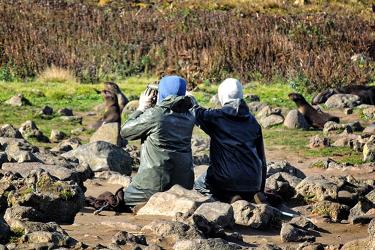 Two scientists looking through binoculars at seals