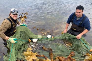 Two fishermen hold open a net to show their catch of Pacific cod and kelp.