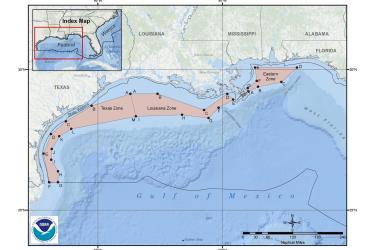 Imposters! The Other Red Snappers and How to Identify Them – Gulf of Mexico  Fishery Management Council