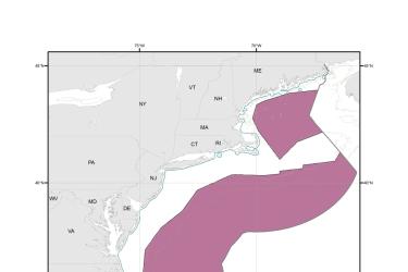 Illex_Fishery_Mesh_Exemption_Area_MAP.jpg