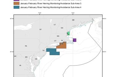 January-February-River-Herring-Monitoring-Avoidance-Areas-MAP-NOAA-GARFO.jpg