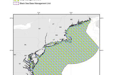 Management-Units-SF-Scup-BSB-MAP-NOAA-GARFO.jpg