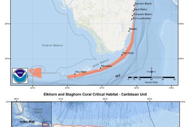 This is a map showing elkhorn and staghorn coral critical habitat in Florida and the Caribbean.