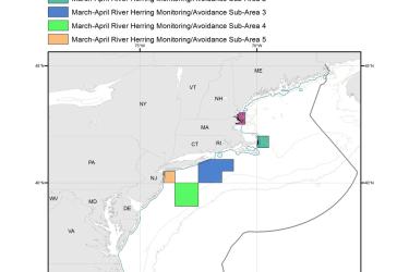 March-April-River-Herring-Monitoring-Avoidance-Areas-MAP-NOAA-GARFO.jpg