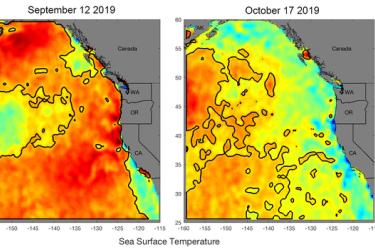 Marine heatwave 4months large 2019 .jpg