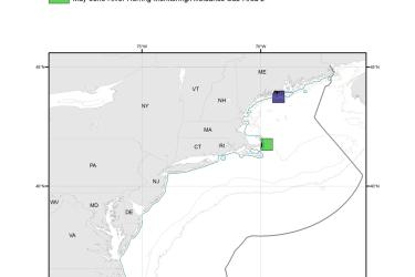 May-June-River-Herring-Monitoring-Avoidance-Areas-MAP-NOAA-GARFO.jpg