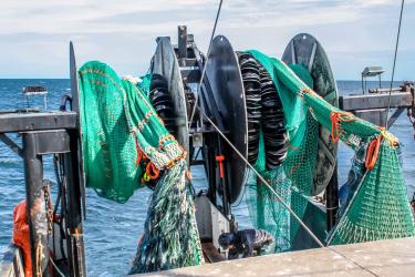 Trawl nets, side by side on stern of boat. 