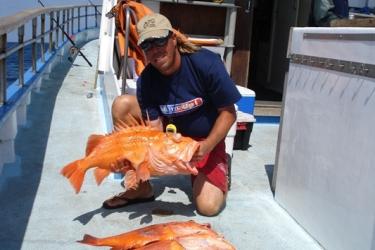 Deckhand Paul Hansen displays cowcod specimens caught aboard the F/V Aggressor during the 2007 Hook and Line Survey