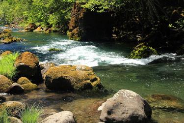 Riverine. Credit: NOAA Fisheries