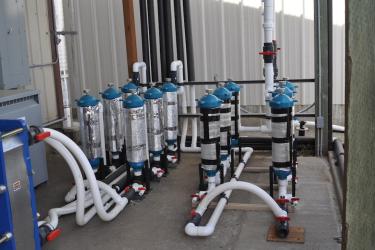 Glass tubes with blue lids, interconnected with piping, part of the new hatchery.