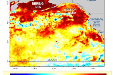 Map. Unusually warm temperatures dominate three areas of the North Pacific: the Bering Sea, Gulf of Alaska and an area off Southern California. The darker the red, the further above average the sea surface temperature. NOAA researchers are tracking the temperatures and their implications for marine life.