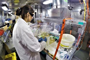 Scientist in lab filtering samples.
