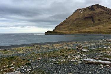 Photo 18_Bay_lg.jpg