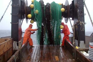 pulling up a net on a vessel nwfsc.jpg