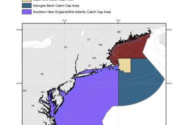 River-Herring-and-Shad-Catch-Cap-Areas-MAP-NOAA-GARFO.jpg
