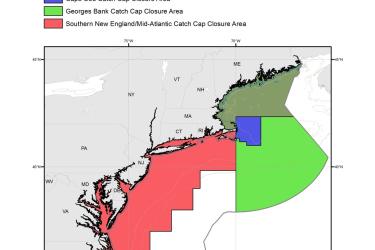 River-Herring-and-Shad-Catch-Cap-Closure-Areas-MAP-NOAA-GARFO.jpg