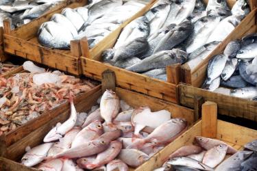 shutterstock-seafood-display-in-market-750x500.jpg