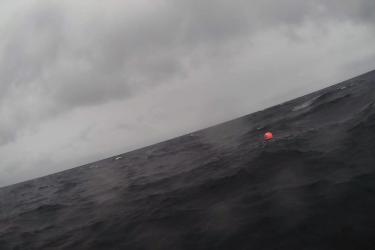 TrackingAKRedKingCrabBlog8-SaildronePhotoCapture1.jpg