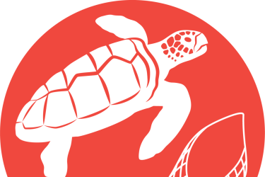 Turtle.png