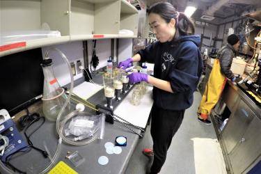 Scientist working in the drylab.