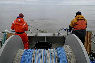 Scientists wearing orange suits on a boat hauling in a net