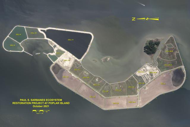 Aerial view of an island, with areas where restoration is happening labeled as "cells."