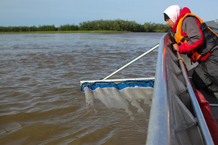 Scientist looks scientific equipment in water