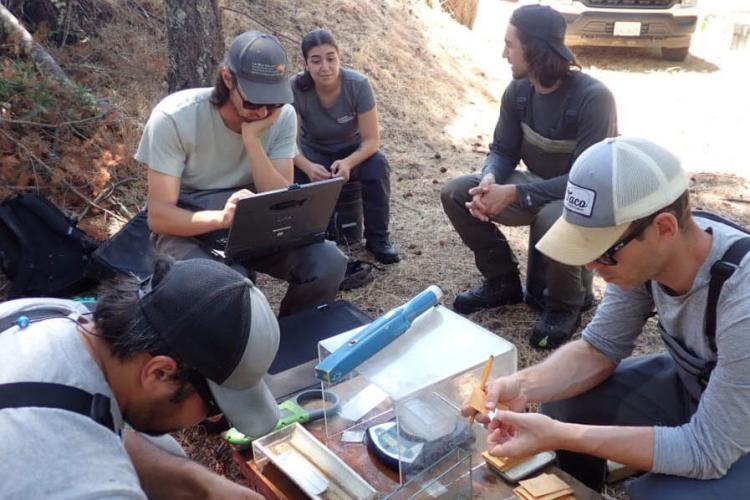 Group of people working with monitoring equipment