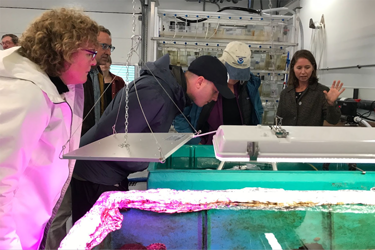 Dr. Jordan Hollarsmith shows the TSMRI Oyster Hatchery to guests.