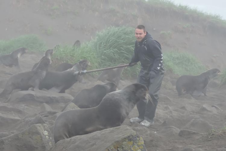 Dallas Roberts works amongst a herd of laaqudan to isolate an entangled animal. 
