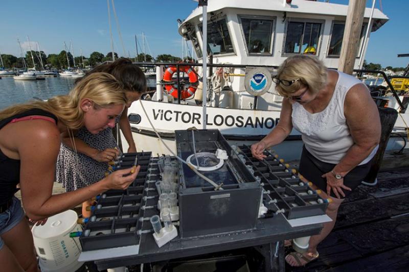 Three women taking samples of mussels held in a specialized metal rack used for in-water experiments