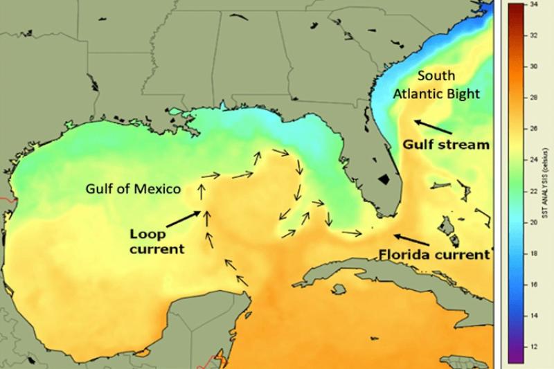 Image of map showing the Gulf of Mexico and South Atlantic Bight, as well as the general location and direction of the Loop current, Florida current and Gulf Stream showing sea surface temperature over the region in degrees Celsius..