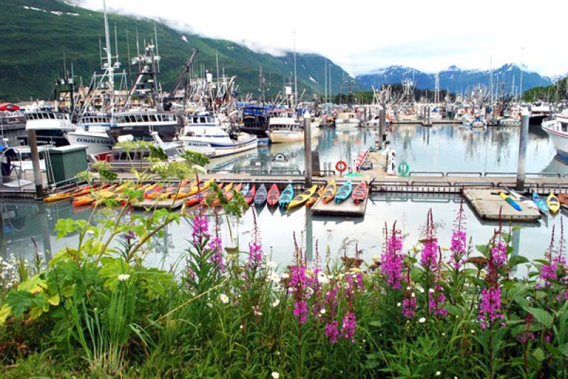 Harbor in Valdez, Alaska