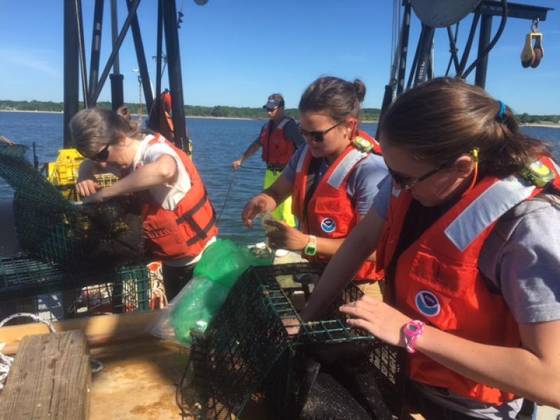 Three female scientists check metal fish traps for fish during field work on a boat in Long Island Sound.