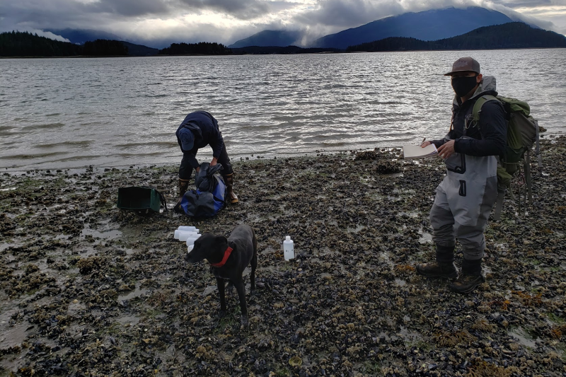 Photo of two researchers with water sample bottles and a dog near the waters edge.