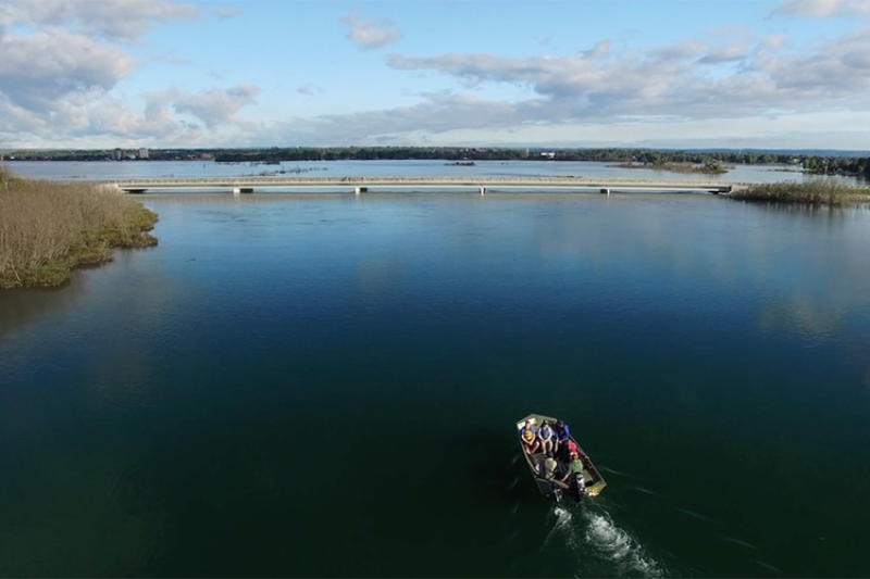 Aerial view of a river, with six people in a small boat traveling toward a bridge